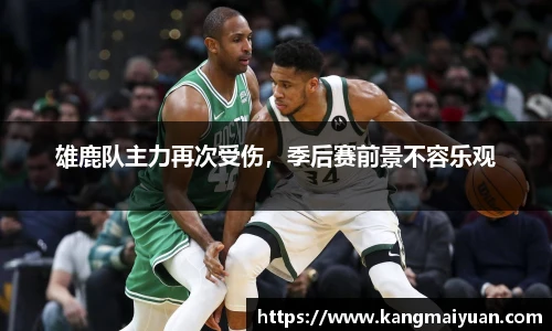 完美体育登录入口