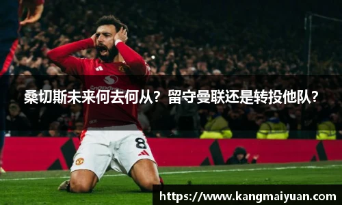 完美体育登录入口